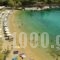 Studios Elena_holidays_in_Hotel_Sporades Islands_Alonnisos_Patitiri