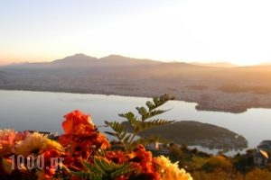 Agnantio_travel_packages_in_Epirus_Ioannina_Terovo