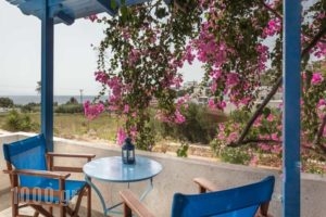 Firoa Studios_holidays_in_Hotel_Cyclades Islands_Donousa_Donousa Chora