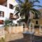 Alexandra Pension'Stelorizo_accommodation_in_Hotel_Dodekanessos Islands_Halki_Halki Rest Areas