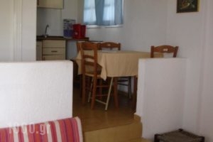 Pella Apartments_lowest prices_in_Apartment_Crete_Lasithi_Kalo Chorio