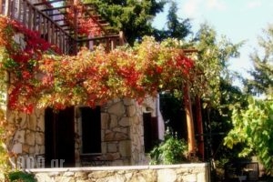 Manoli's House_lowest prices_in_Hotel_Crete_Chania_Vamos