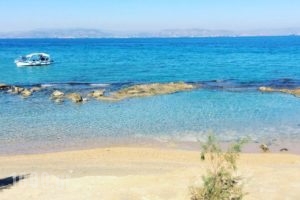 The Beachhouse_travel_packages_in_Piraeus Islands - Trizonia_Methana_Methana Chora