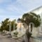 Kanelis Studios_lowest prices_in_Hotel_Cyclades Islands_Milos_Milos Chora