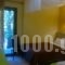 Hani Zemenou_best deals_Hotel_Central Greece_Viotia_Arachova