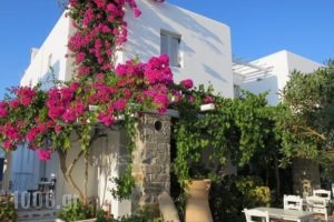 Zefi Hotel_travel_packages_in_Cyclades Islands_Paros_Naousa