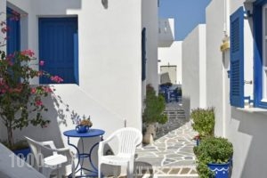 Hassouri Vasso Rooms_holidays_in_Room_Cyclades Islands_Paros_Piso Livadi