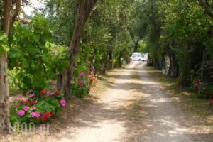 Olga's Garden Apartments_holidays_in_Apartment_Ionian Islands_Corfu_Corfu Rest Areas