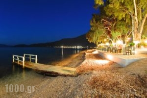 Dimitris Studios_best prices_in_Hotel_Ionian Islands_Kefalonia_Kefalonia'st Areas
