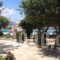 Something Else_holidays_in_Hotel_Cyclades Islands_Naxos_Agia Anna