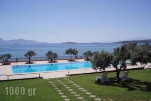 Europa Beach Hotel_travel_packages_in_Central Greece_Fokida_Galaxidi