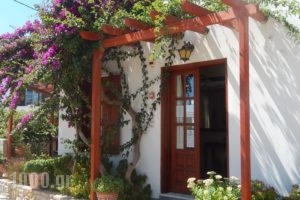 Deidamia Hotel_holidays_in_Hotel_Sporades Islands_Skyros_Linaria