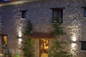 Ontas Guesthouse_accommodation_in_Hotel_Central Greece_Viotia_Arachova