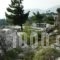 Olokalon Suites_best deals_Hotel_Crete_Lasithi_Anatoli