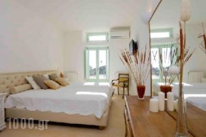 Black Rock Studios_best prices_in_Room_Cyclades Islands_Sandorini_Sandorini Chora