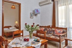 Lia Apartments_holidays_in_Apartment_Crete_Chania_Nopigia