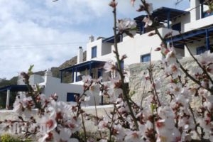Maroussa'S Apartments_holidays_in_Apartment_Cyclades Islands_Serifos_Serifos Chora