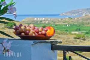 Naxosloxenia Agrotourism Hotel_holidays_in_Hotel_Cyclades Islands_Naxos_Naxos chora
