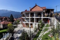 Hotel Dryades in Elati, Trikala, Thessaly