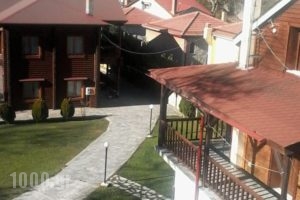 Stivakti Chalet_lowest prices_in_Hotel_Central Greece_Evritania_Karpenisi