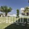 Creta Vivere Villas_best prices_in_Villa_Crete_Heraklion_Ammoudara