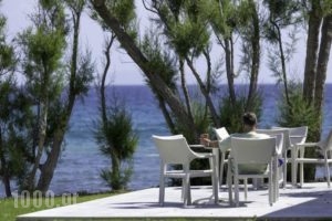 Lakitira Resort_holidays_in_Hotel_Dodekanessos Islands_Kos_Kos Rest Areas