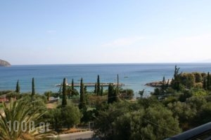 Afrogialis_best deals_Hotel_Crete_Lasithi_Aghios Nikolaos