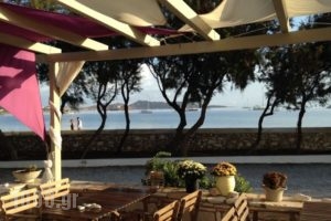 Almira Suites_accommodation_in_Hotel_Cyclades Islands_Paros_Paros Chora
