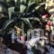 Harama Guesthouse_best prices_in_Hotel_Macedonia_Pella_Aridea