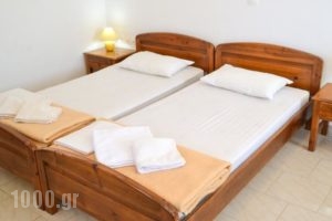 Albatros Studios & Apartments_best prices_in_Apartment_Dodekanessos Islands_Karpathos_Karpathosora