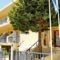 Melitti Hotel_travel_packages_in_Crete_Rethymnon_Rethymnon City
