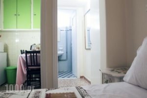 Chameleon Youth Hostel_lowest prices_in_Hotel_Central Greece_Attica_Nikaia