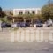 Stella_travel_packages_in_Cyclades Islands_Andros_Andros Chora
