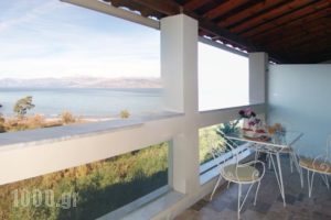 Villa Petros_best prices_in_Villa_Ionian Islands_Corfu_Corfu Rest Areas