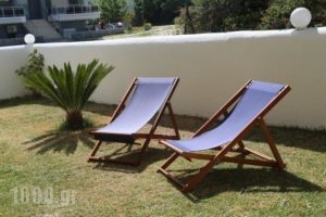 Nemo Studios_holidays_in_Hotel_Macedonia_Halkidiki_Kassandreia