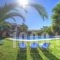 Jasmine Apartments_best deals_Apartment_Ionian Islands_Corfu_Afionas