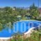 Jasmine Apartments_holidays_in_Apartment_Ionian Islands_Corfu_Afionas