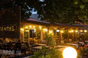 Bebis Hotel_best prices_in_Hotel_Thessaly_Larisa_Agia