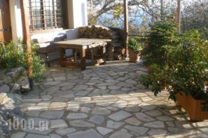 Seirios_lowest prices_in_Hotel_Thessaly_Magnesia_Vizitsa
