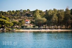 Serenity Estate_best prices_in_Hotel_Macedonia_Halkidiki_Chalkidiki Area