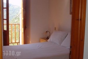 Theoni'S House_accommodation_in_Hotel_Peloponesse_Arcadia_Stemnitsa