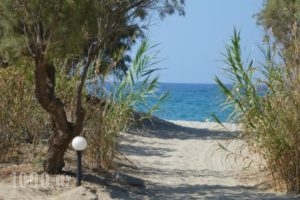 Camping Elizabeth_holidays_in_Hotel_Crete_Rethymnon_Rethymnon City