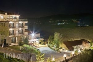 Hotel All Seasons_best prices_in_Hotel_Peloponesse_Achaia_Kalavryta