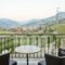 Hotel All Seasons_best deals_Hotel_Peloponesse_Achaia_Kalavryta