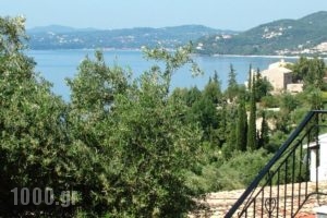 Nissaki Apartments_accommodation_in_Apartment_Ionian Islands_Corfu_Palaeokastritsa