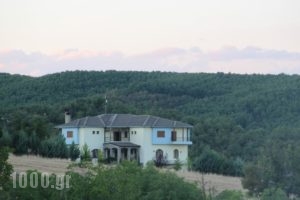 Dryades Guesthouse_accommodation_in_Hotel_Macedonia_Grevena_Perivolaki
