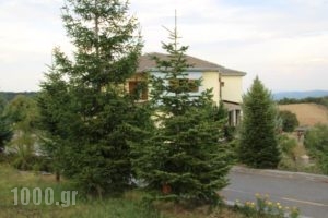 Dryades Guesthouse_lowest prices_in_Hotel_Macedonia_Grevena_Perivolaki