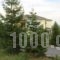 Dryades Guesthouse_lowest prices_in_Hotel_Macedonia_Grevena_Perivolaki
