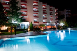 Oasis Hotel Apartments_holidays_in_Apartment_Central Greece_Attica_Glyfada