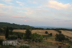 Dryades Guesthouse_best prices_in_Hotel_Macedonia_Grevena_Perivolaki